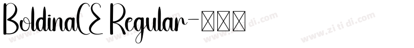 BoldinaCE Regular字体转换